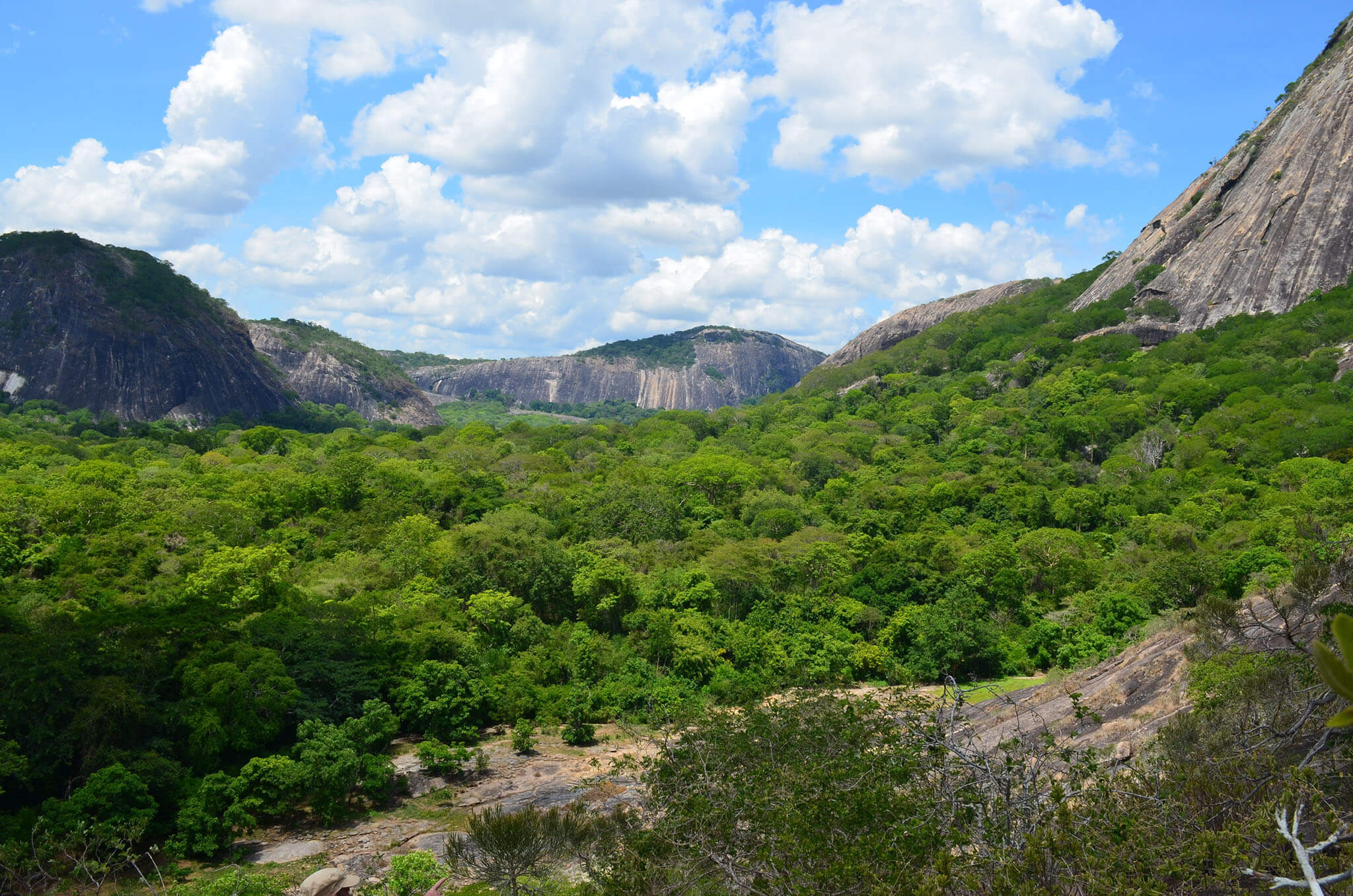 Lista Vermelha de Ecossistemas da UICN